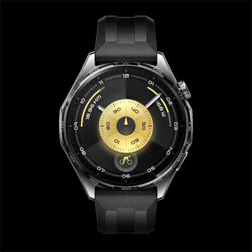 55020FTX Watch GT6 46mm Black