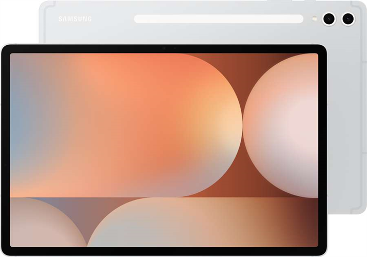 Samsung X826 Galaxy Tab S10+ 12GB_256GB 12.4" 5G Strieborná