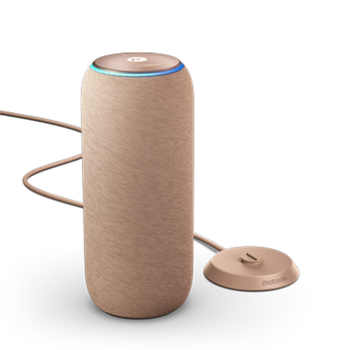 Motorola Sound Flow (Repro) Warn Toupe